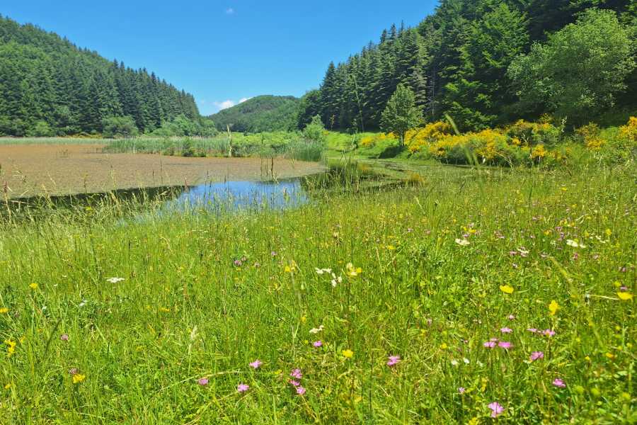 Modenatur Il Lago Pratignano e la grotta delle Fate - Modena Slow