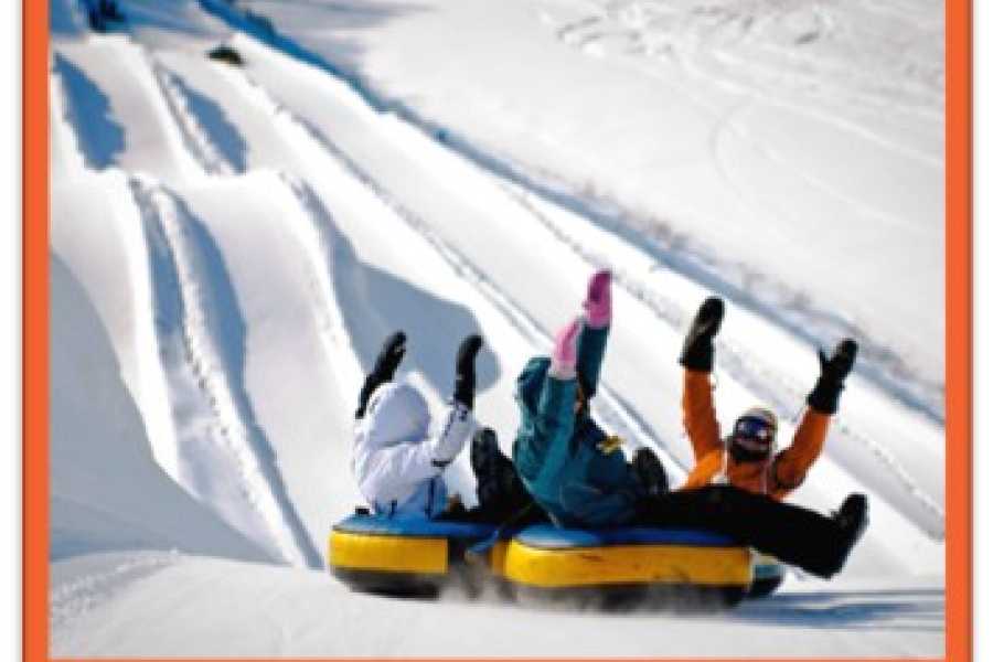 Dream Vacation Tours QUEBEC CITY MARCH BREAK DREAM TOUR FROM NS & NB