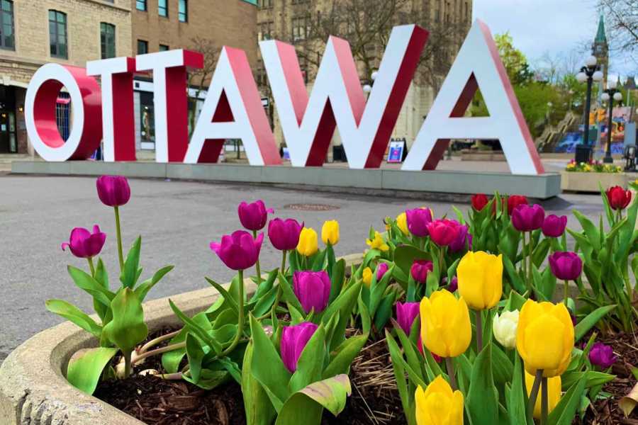Dream Vacation Tours LUXURY OTTAWA TULIP FESTIVAL & QUEBEC CITY  DREAM TOUR FROM NS & NB