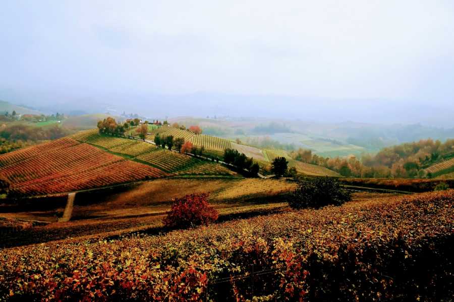 Modenatur Le Vigne in alta quota a Guiglia - Modena Slow