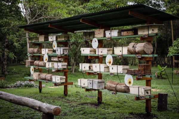 ARUSHA - MOUNTAIN BIKING Beetopia