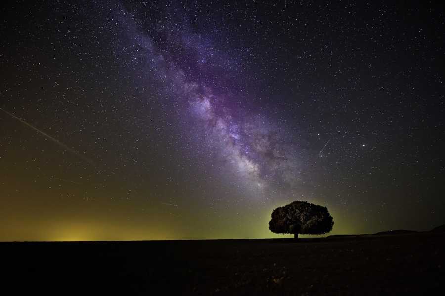 Modenatur Le notti delle stelle cadenti - Modena Slow