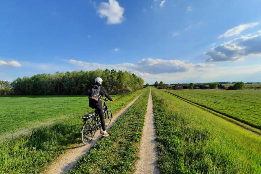 Modenatur Pedalare nella BASSA Modenese- Modena Slow