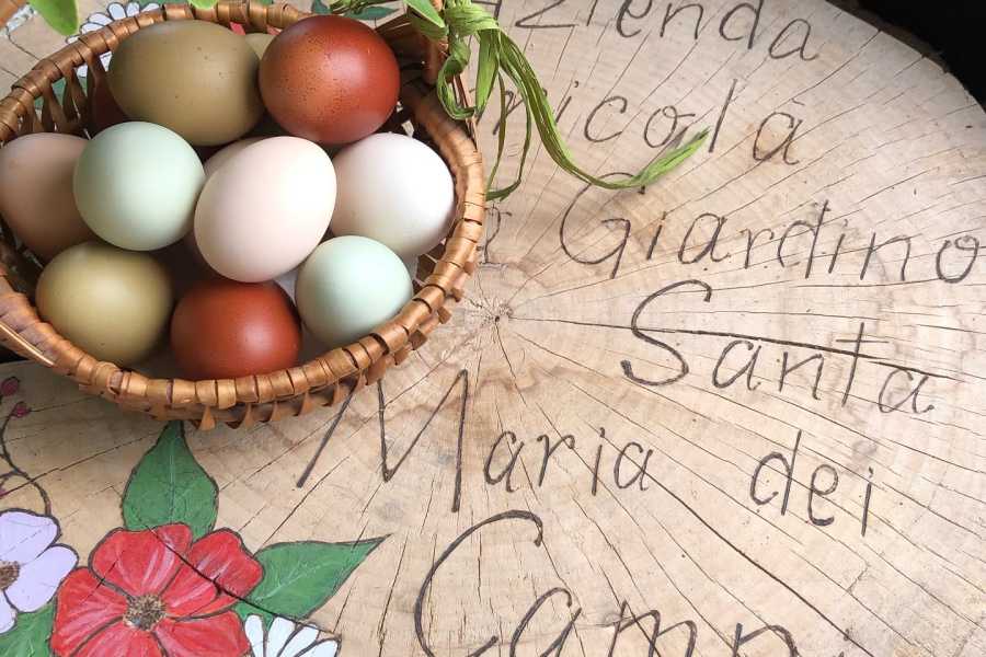 Modenatur Labirinto di frutti di bosco - Cimone Slow