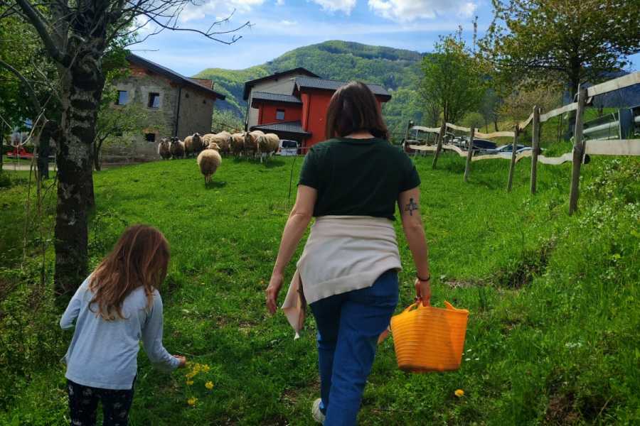 Modenatur A spasso con il gregge - Modena Slow
