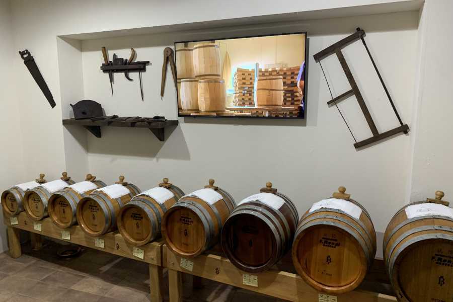 Modenatur Maestro Assaggiatore per un giorno al Museo del Balsamico di Spilamberto - 30 anni di Modenatur