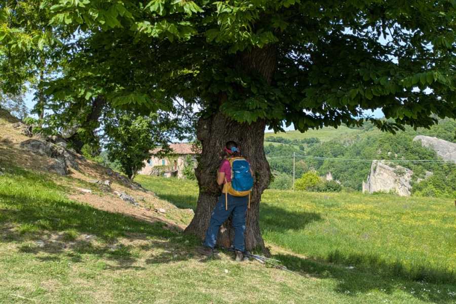 Modenatur Tutti i sensi della Luna  - Modenaslow