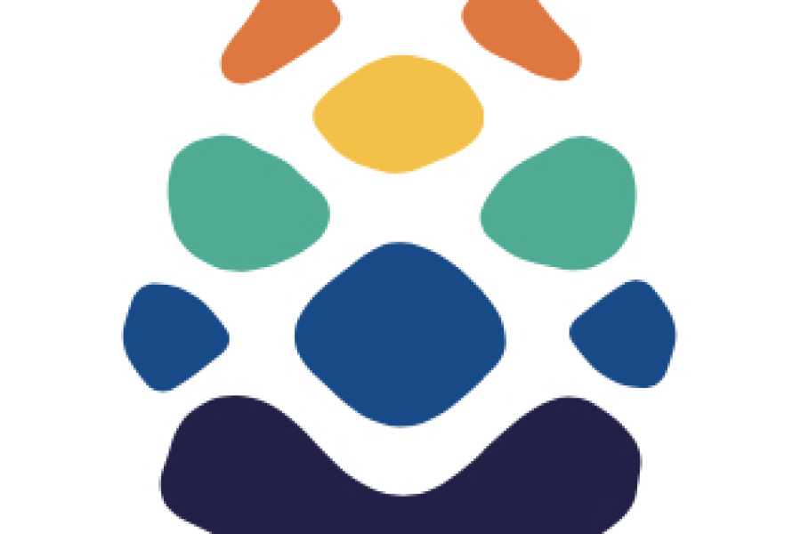Ravenna Incoming (ERW) Attivit&agrave; prova per FOOTPRINTS