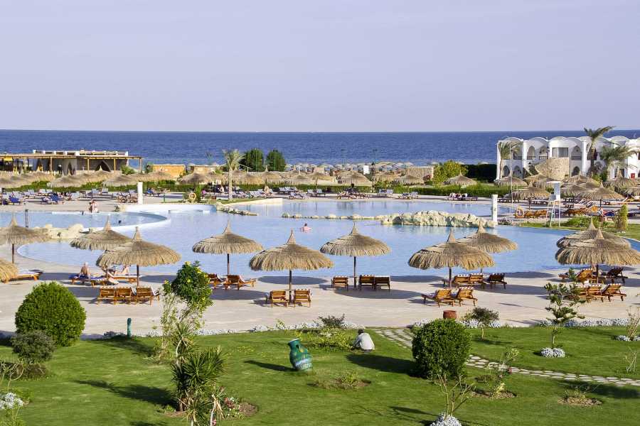 Egypt Tour packages Transfer from Gorgonia beach hotel to  Marsa Alam Airport