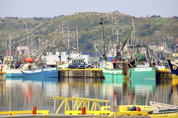 *11-DAY NEWFOUNDLAND DREAM TOUR*