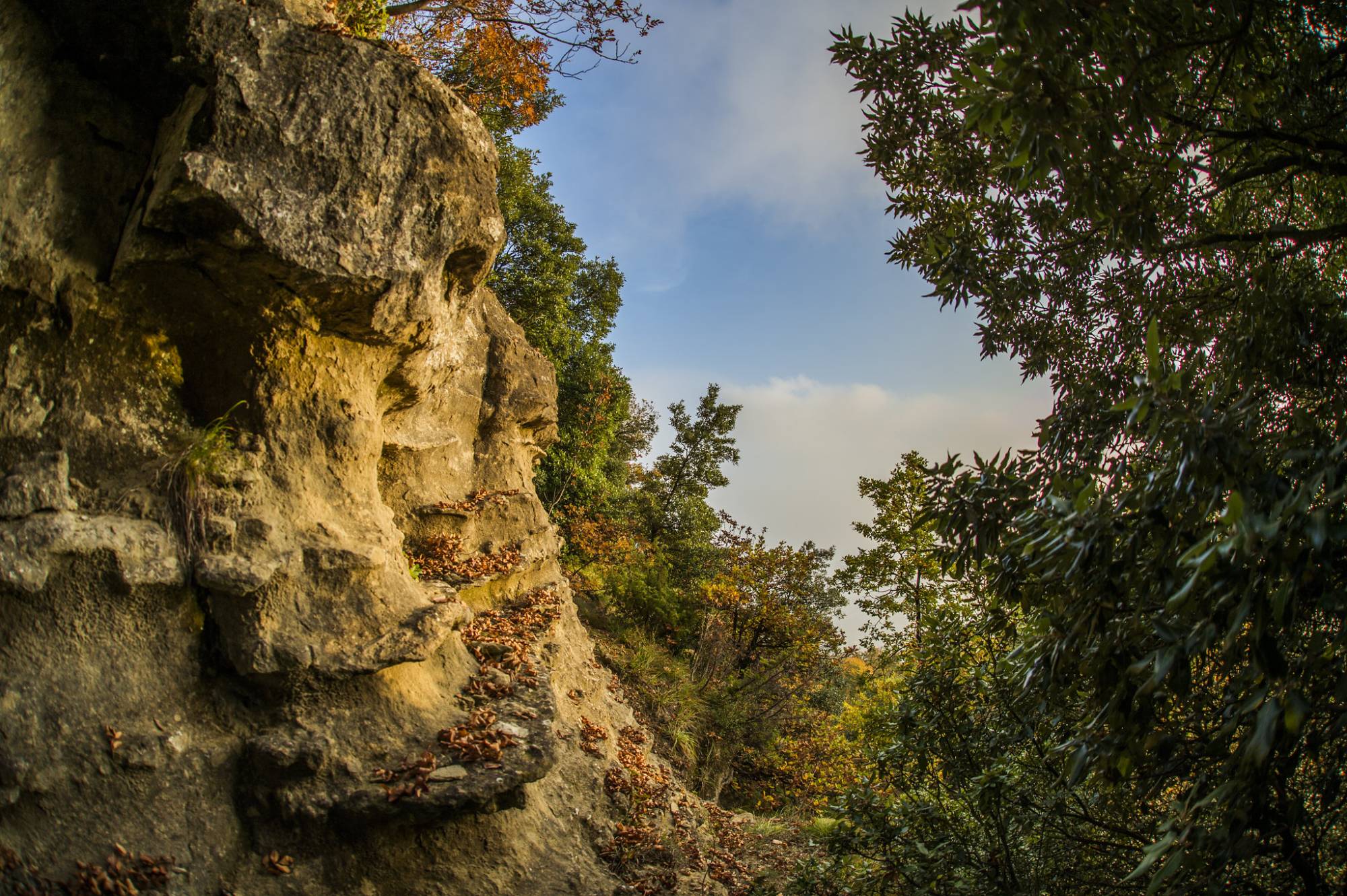 L’anello di Monte Rosso - Conoscere i Parchi bolognesi