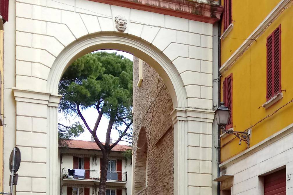 The Shapes of Gypsum between Nature and Art