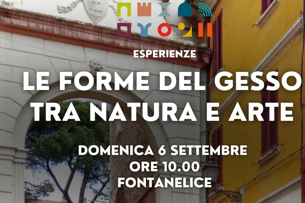 Le Forme del Gesso tra Natura e Arte
