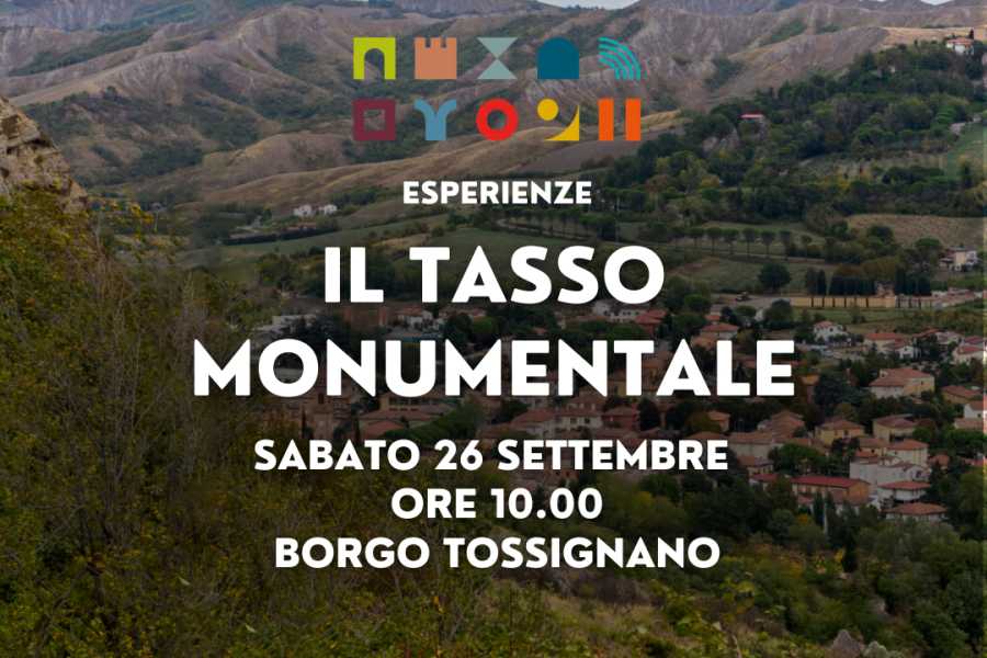 IF Imola Faenza (ERW) The Monumental Yew Tree