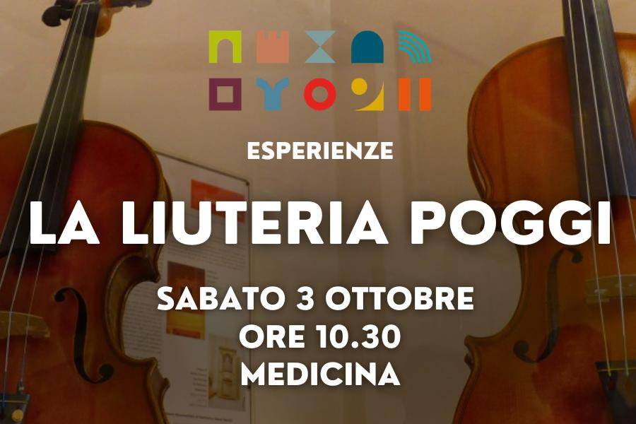 The Poggi Violin Making Shop