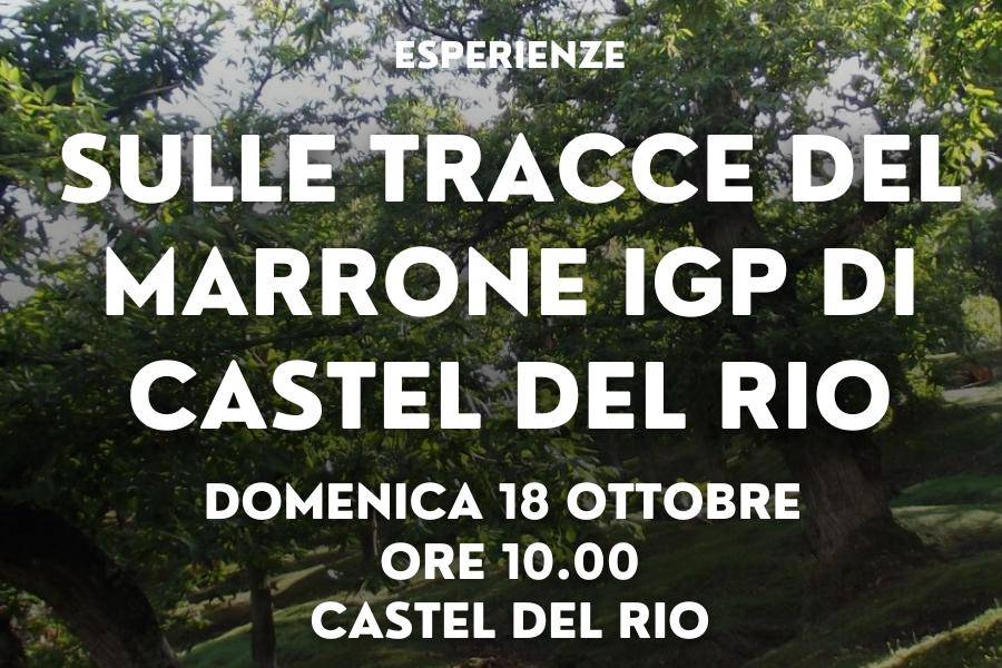 On the trail of the Castel Del Rio Marrone IGP