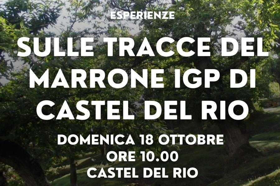 IF Imola Faenza (ERW) On the trail of the Castel Del Rio Marrone IGP