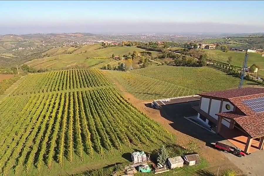Modenatur Wine Experience: degustazione alla Cantina Terraquilia - Modena Slow