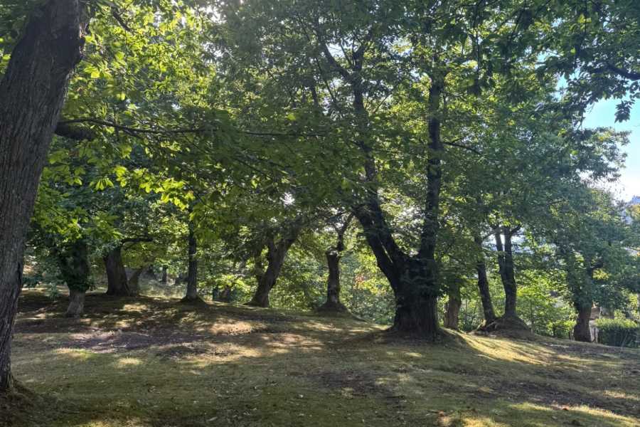 Modenatur Sentiero dei Giganti - Modena Slow