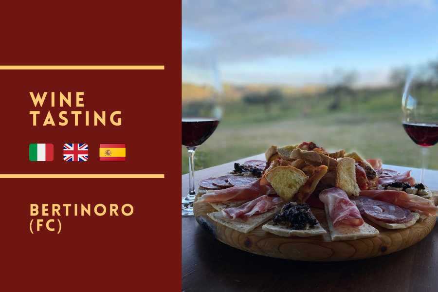 Tenuta la Viola - Visita in cantina e degustazione a Bertinoro