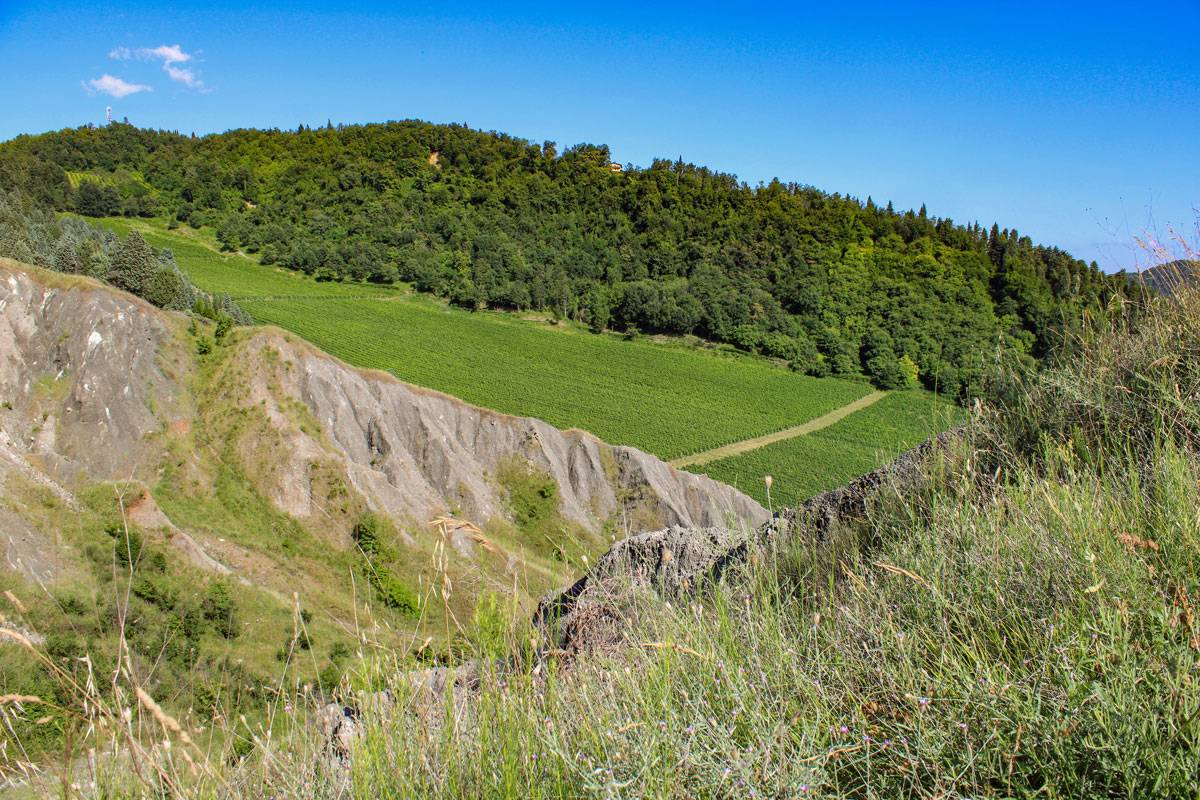 Ride & Wine: i vini dei colli bolognesi in e-bike