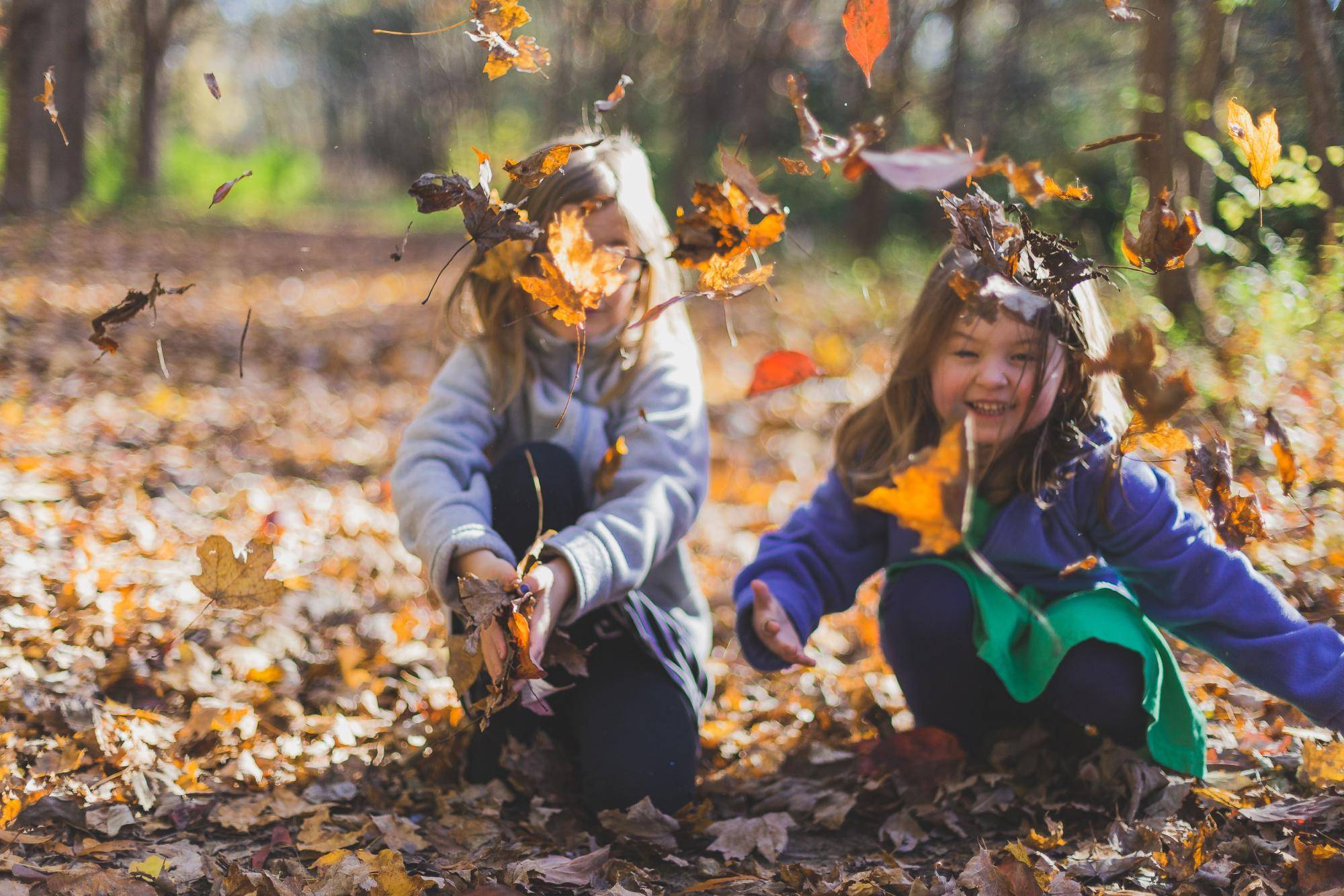 Im Zauberwald der Oasi La Bora – Foliage Tour Kids