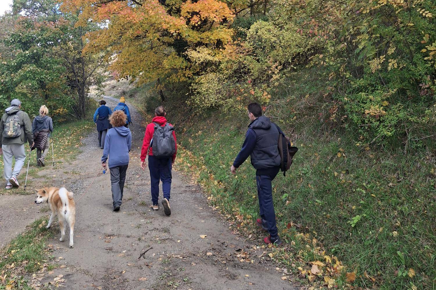 Die Herbstfarben auf dem „Sentiero del Marrone“ – Foliage Tour