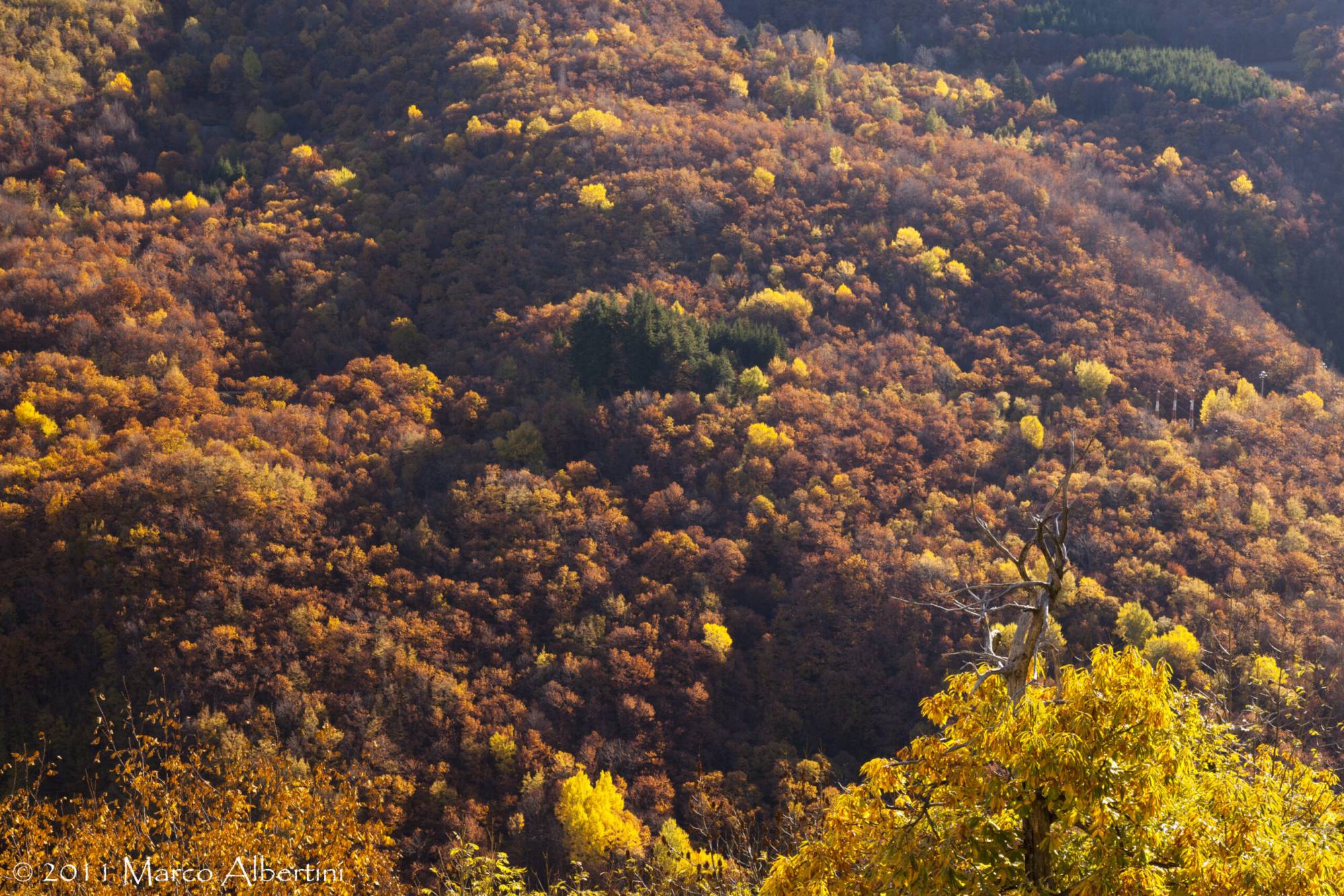 Der Zauber des Herbstlaubs zwischen Buchenwäldern, Mühlen und Dörfern – Foliage Tour