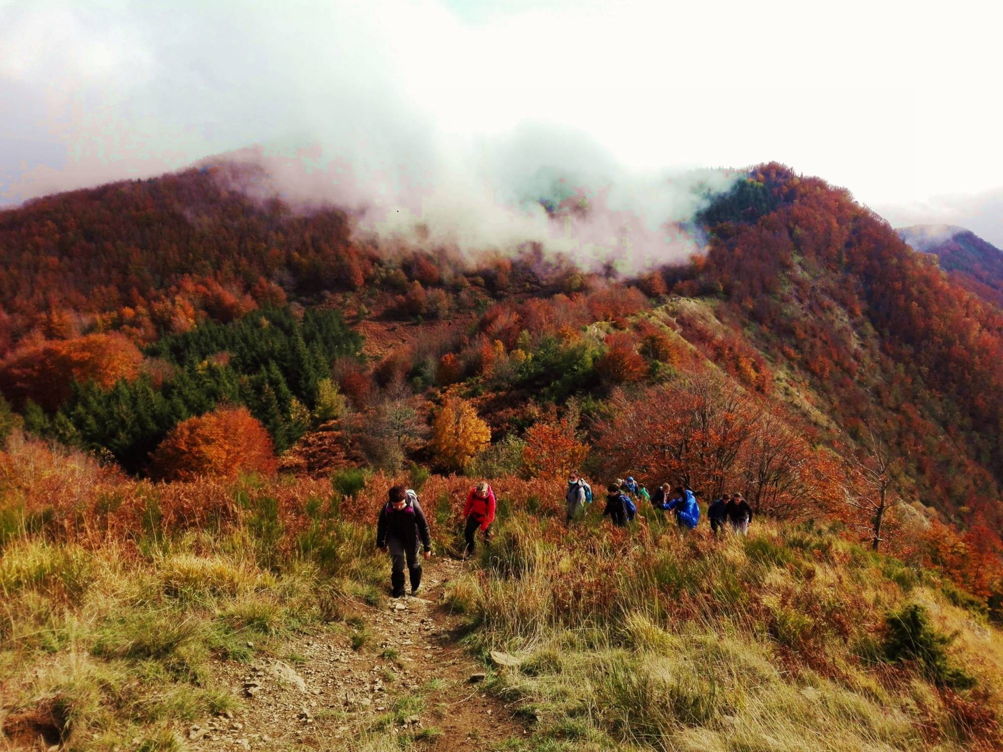 Die Herbstwanderwege am Brasimone-See – Foliage Tour