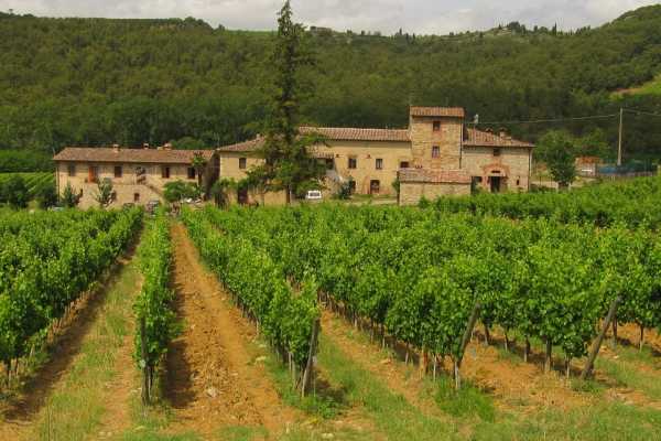 CHIANTI & WINE TOUR IN THE TUSCAN COUNTRYSIDE