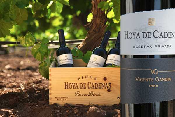 Valencia 2 Taste of Requena