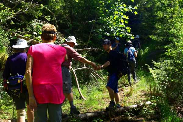 Be Nature Drift AS PRIVATE GUIDED NATURE WALK ULVIK