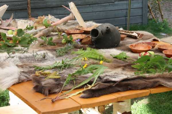 Be Nature Drift AS PRIVATE EDIBLE PLANTS AND INSECTS