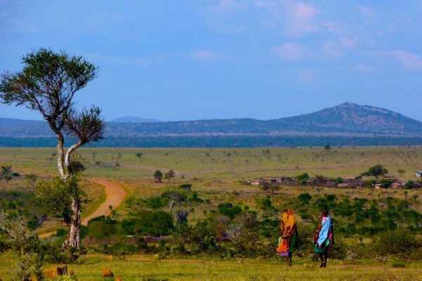 Maasai Mara Safari