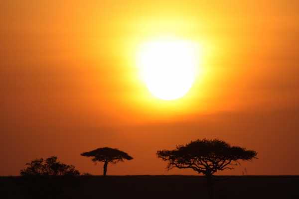 Wonders of Africa Safari