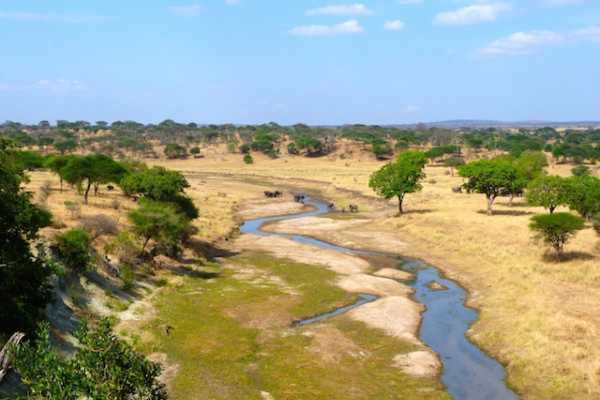 Tarangire National Park