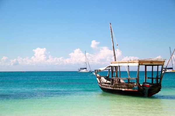 Safari Zanzibar
