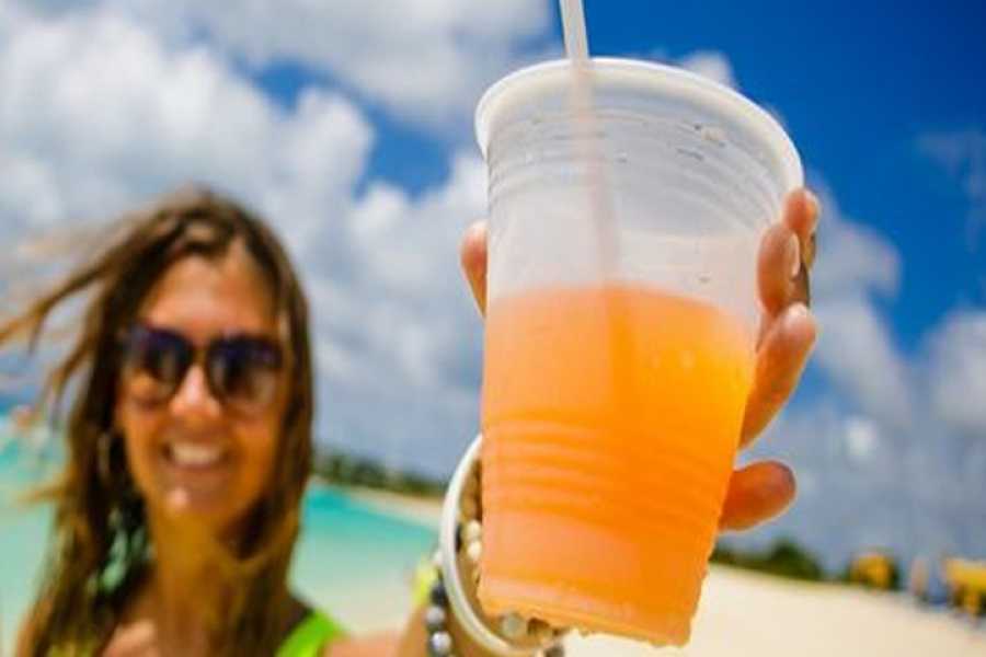 Amvivo Ltd Cayman Islands Rum and Beer Tour with Lunch