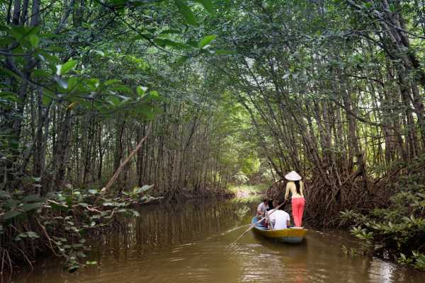 Can Gio Forest Tour by Speedboat