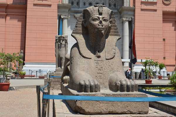 Day Tour to Egyptian Museum, Citadel and Old Cairo