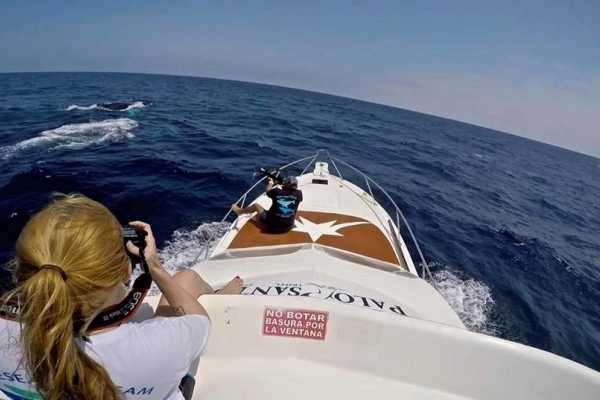 WHALE WATCHING | VIP TOUR | ISLA DE LA PLATA | PUERTO L&Oacute;PEZ ECUADOR