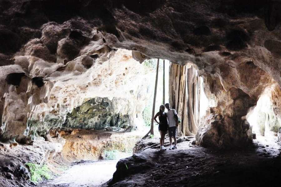 Amvivo Ltd North Side Panoramic Tour Plus Crystal Caves Visit