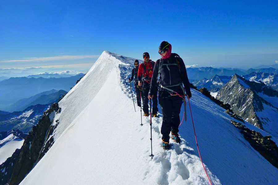 Saas-Fee Guides Weissmies 4023m from Hohsaas Hut