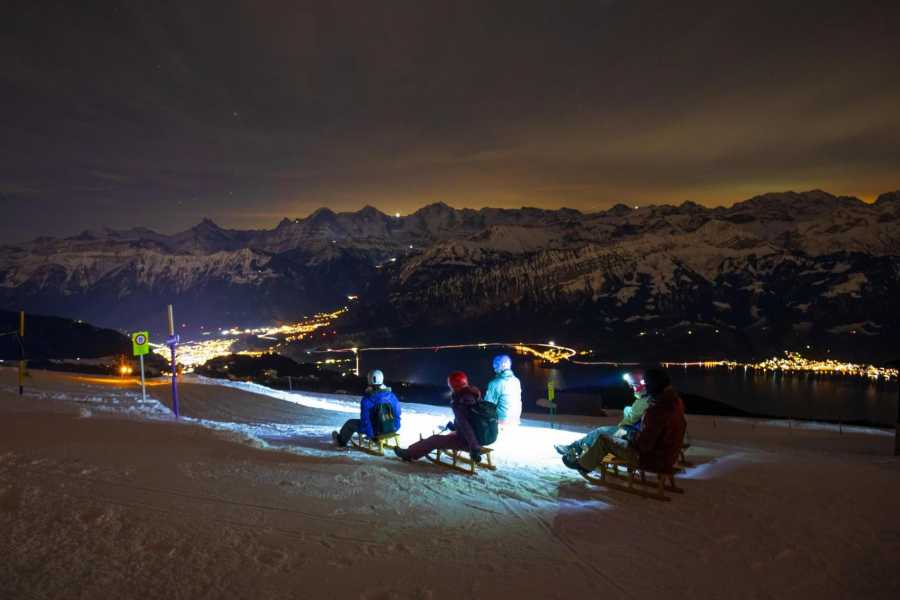Interlaken Tourismus Luge sous les &eacute;toiles au Niederhorn