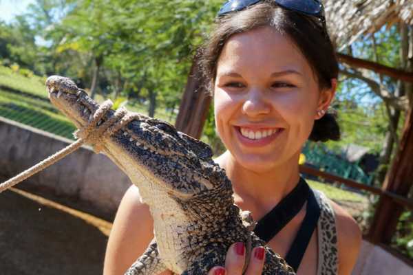 Snake & Crocodile Show in Sharm
