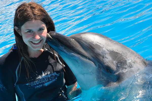 30 Minutes Sharm El Sheikh Swimming with Dolphins