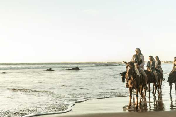 Beach Horseback Riding Tour