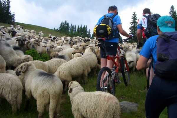 Carpathian Travel Center Tour 6: Sibiu Bike Tour: Scenic Exploration of the Countryside