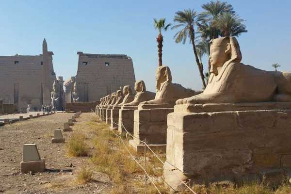 Marsa alam tours 2 Days trip to Luxor from Cairo by Flight