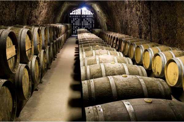 VisitRimini Degustazione della tradizione